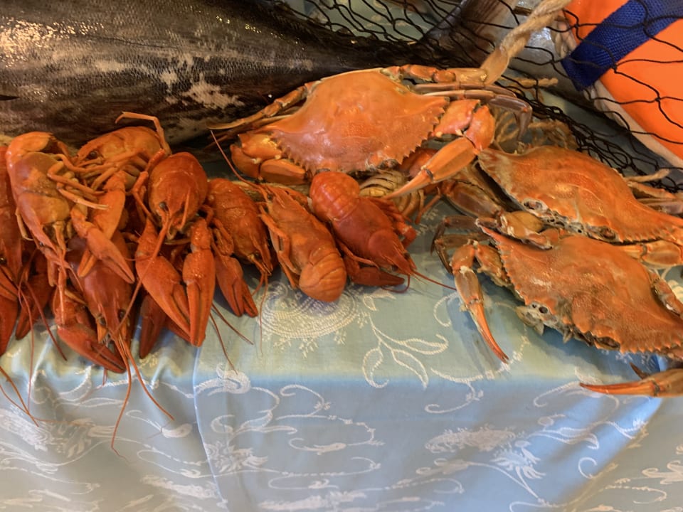 Gastro Sherwood Exclusive Kemer