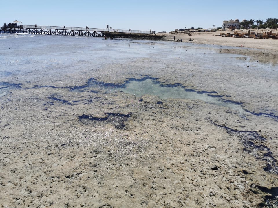 Strand Serenity Alpha Beach