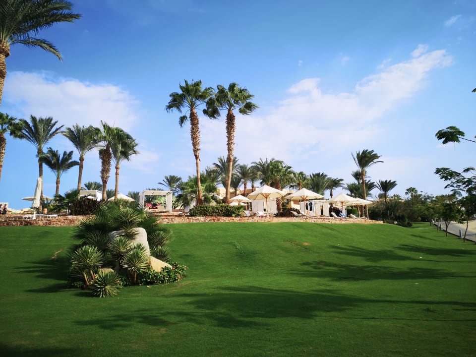 Gartenanlage Steigenberger Coraya Beach - Adults only