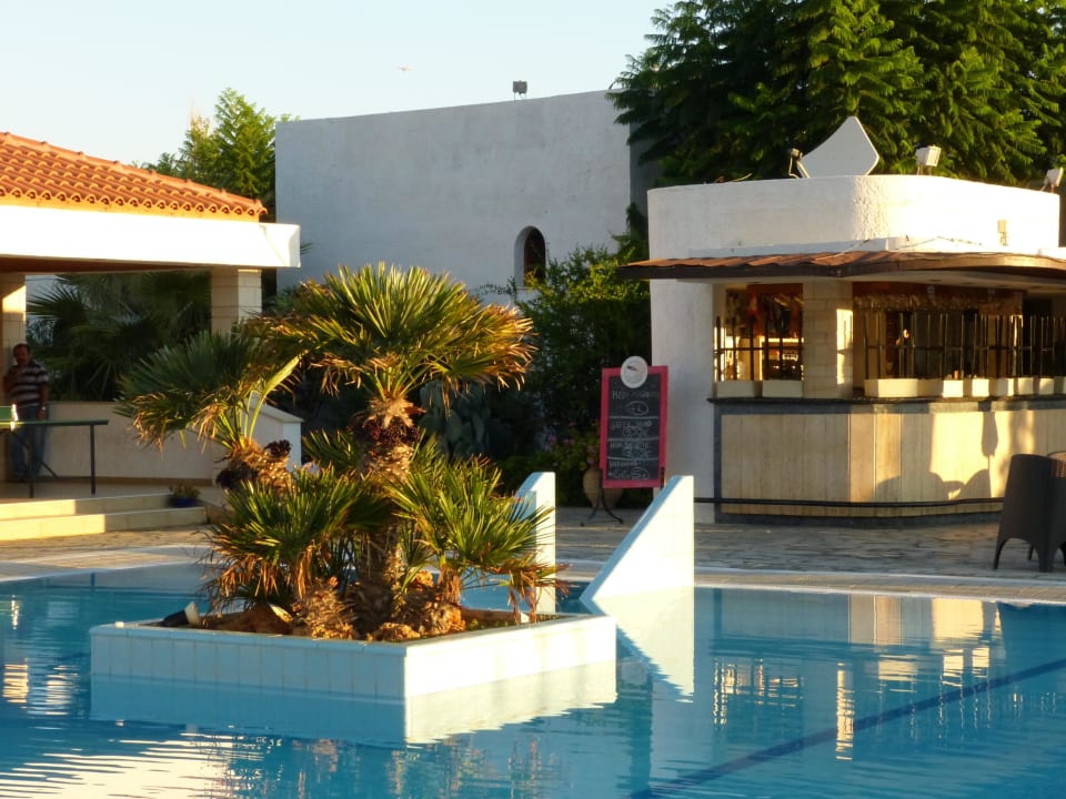 Morgens, bevor es losgeht Sentido Kyknos Beach Adults Only 16+