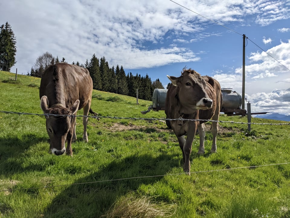 Ausblick Ferienhof Herkommer