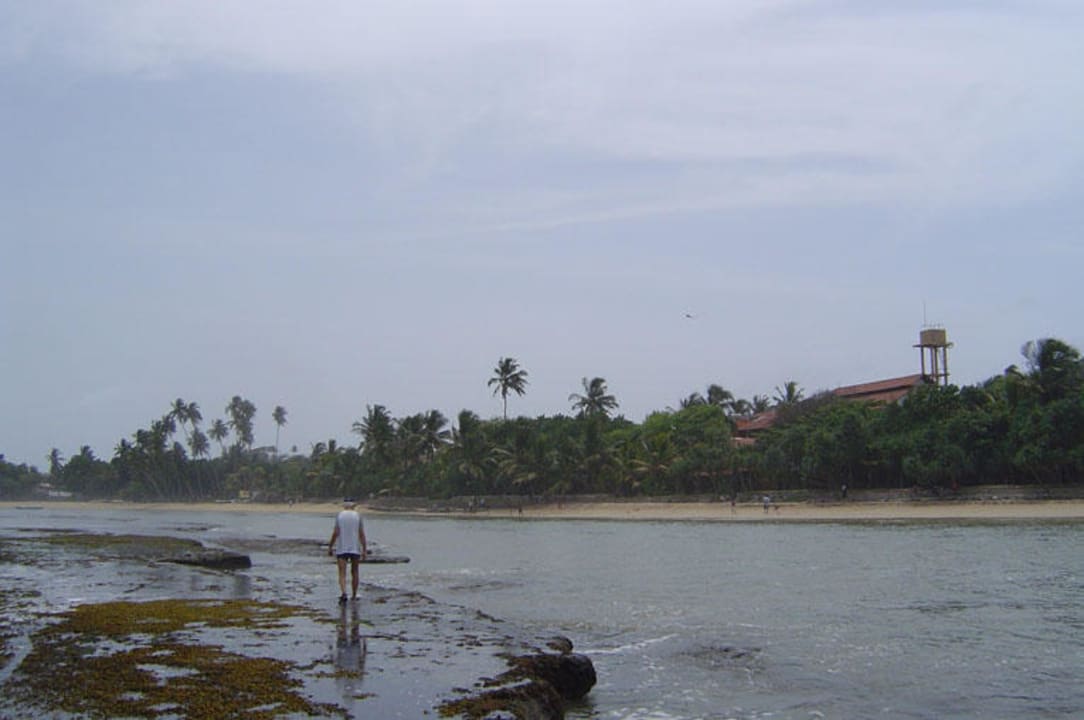 Auf dem Riff vor dem Barberyn Reef Resort Hotel Barberyn Reef Ayurveda Resort