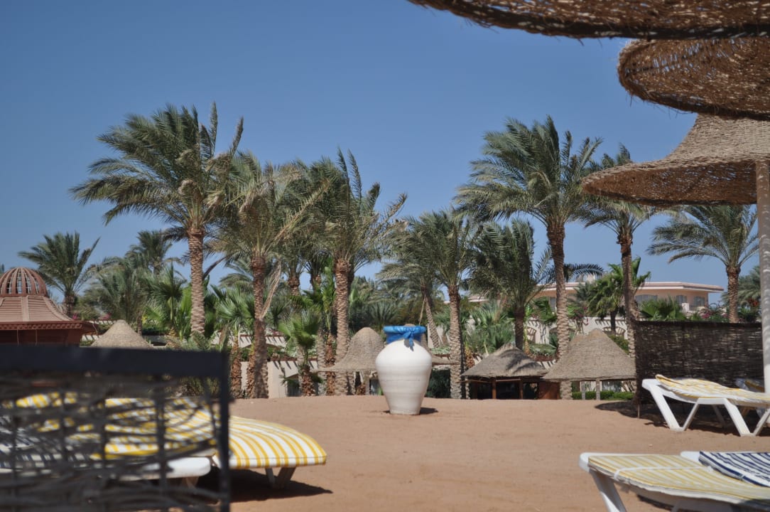 Plaża Parrotel Beach Resort