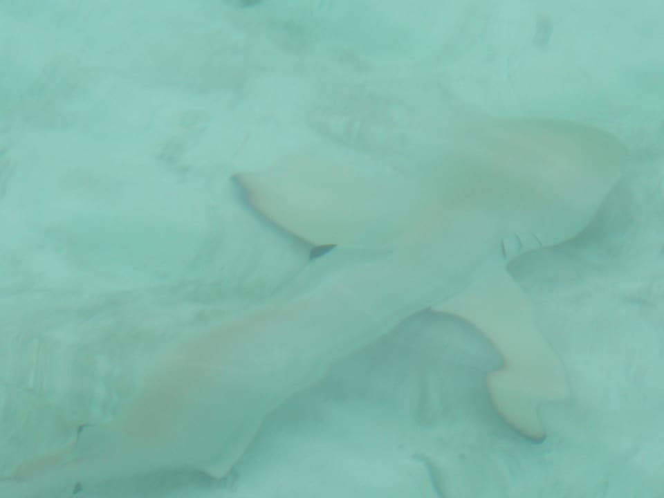 Hai Kuramathi Maldives