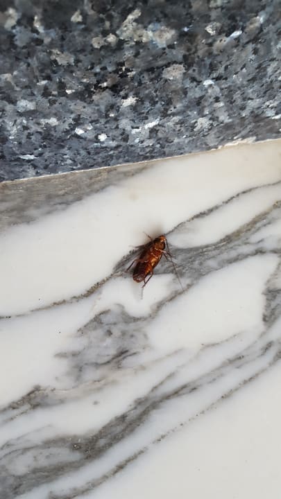 Lobby SBH Fuerteventura Playa