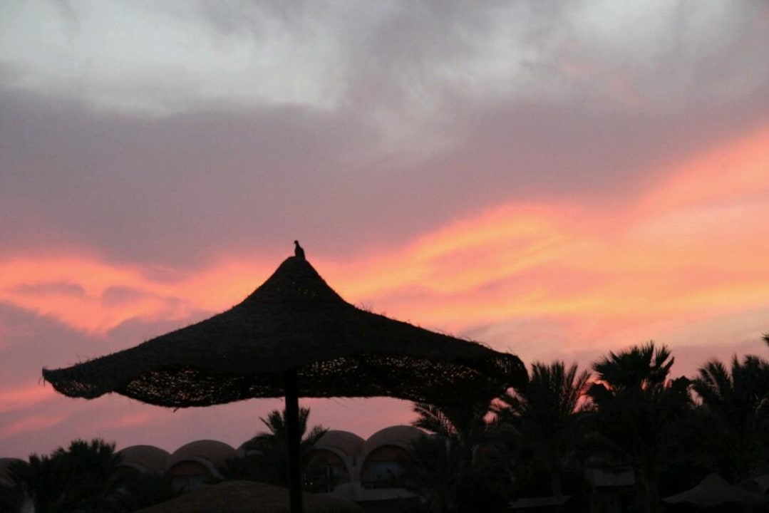 Sonnenuntergang  Three Corners Sea Beach Resort