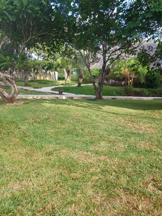 Gartenanlage Hotel Kiwengwa Beach Resort
