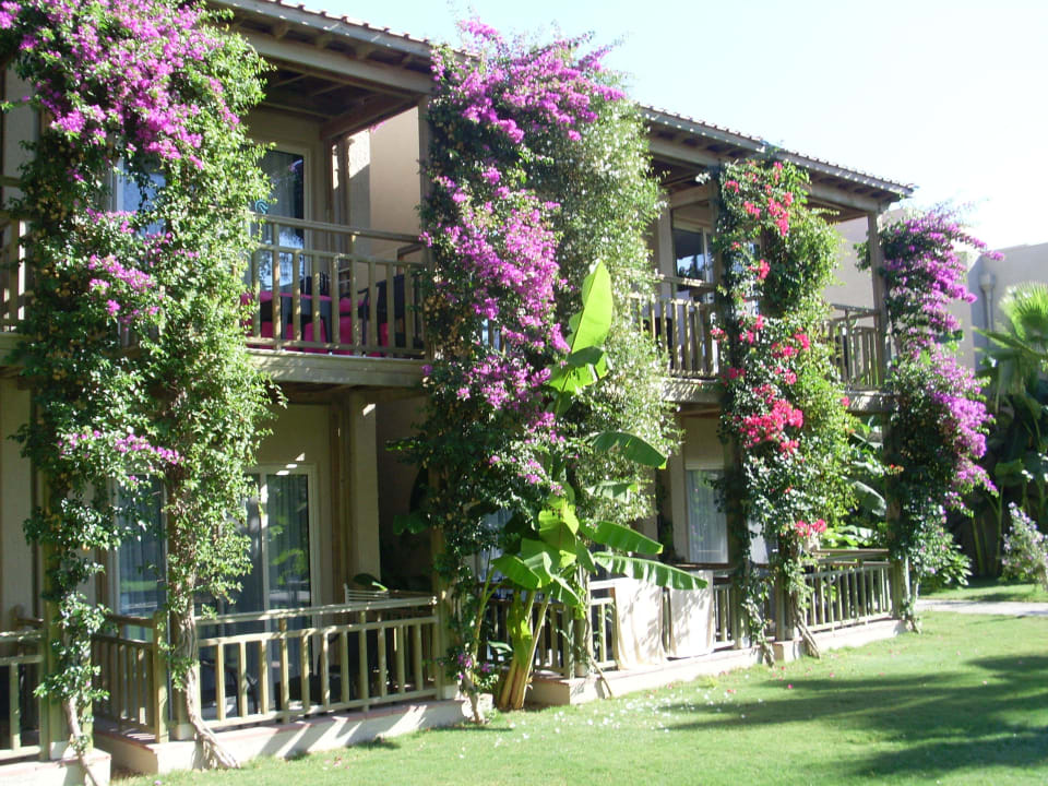 Bungalows Paloma Oceana