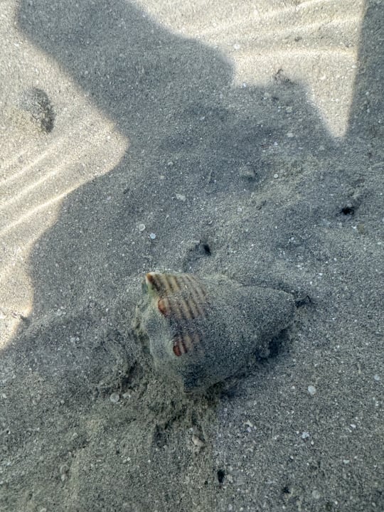 Strand Pickalbatros Villaggio Resort - Portofino