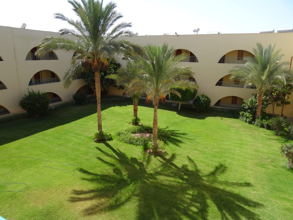 Gartenanlage Desert Rose