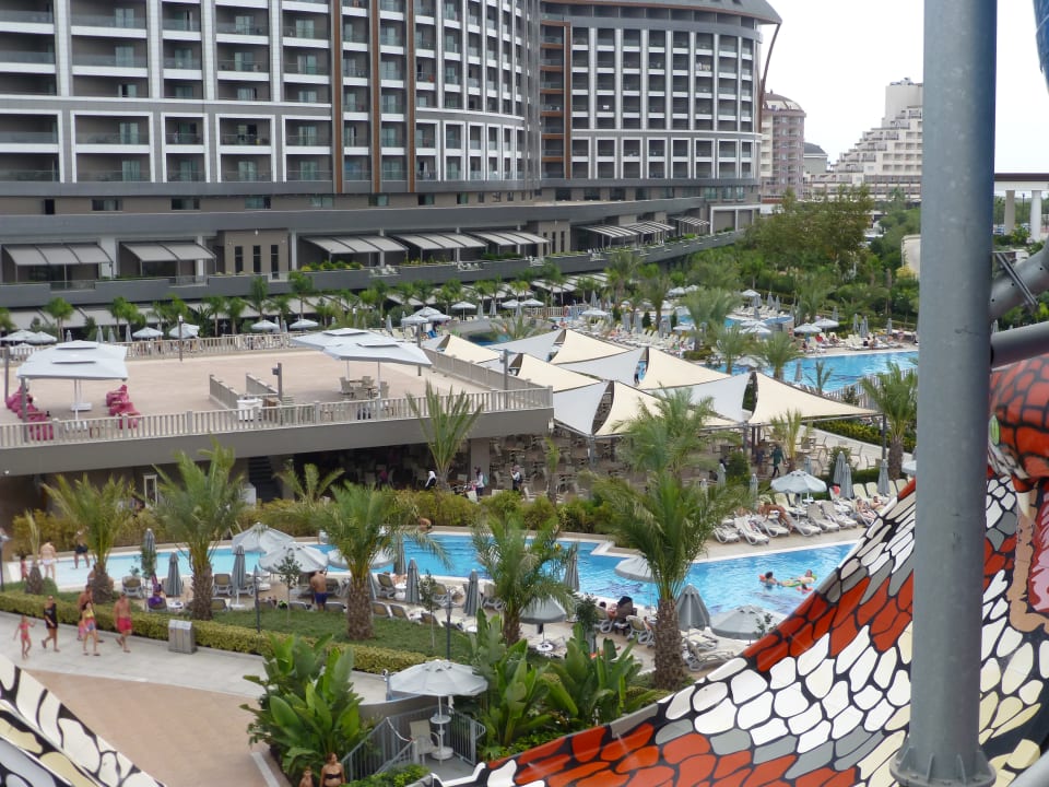 Sport & Freizeit Royal Seginus