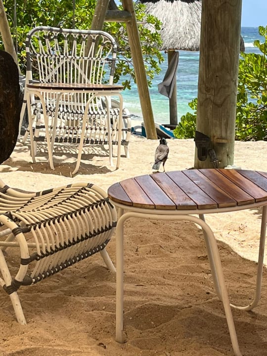 Strand Radisson Blu Poste Lafayette Resort & Spa - Adults only