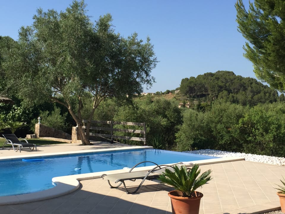 Pool Finca S Olivar d Es Coscois