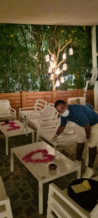 Sonstiges Desert Rose