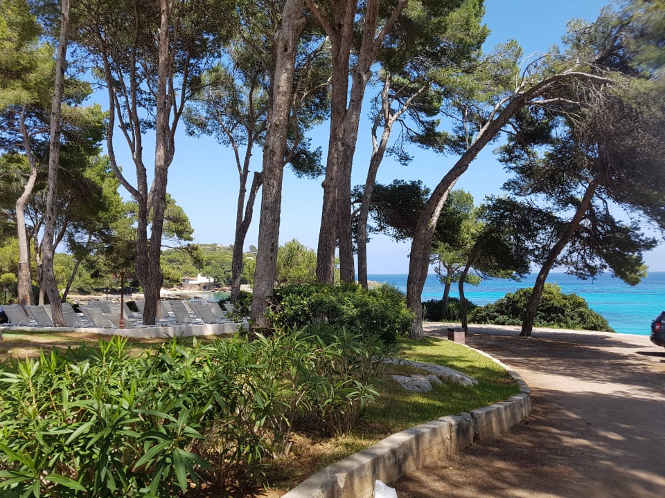 Strand Iberostar Waves Pinos Park