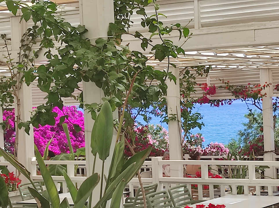 Gastro Can Garden Resort