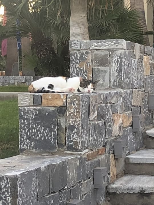 Sonstiges Calimera Sirens Beach