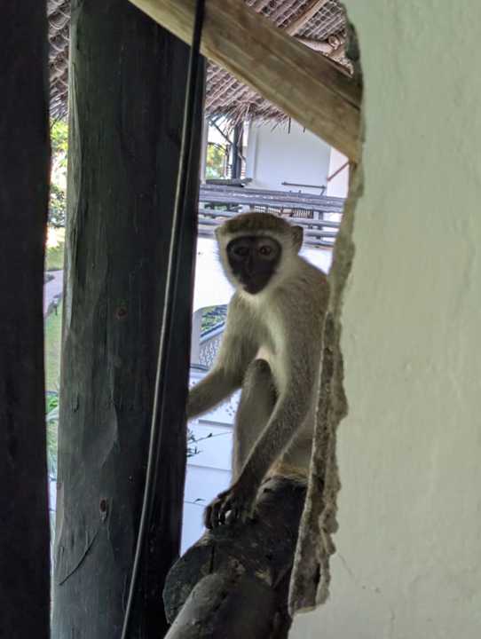 Sonstiges Hotel Southern Palms Beach Resort