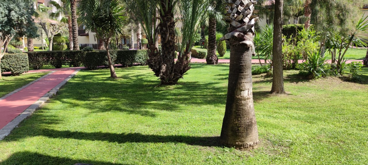 Gartenanlage TUI KIDS CLUB Felicia Village