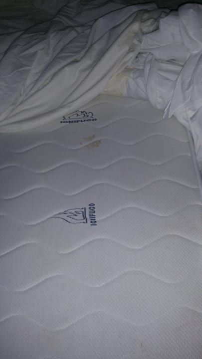 Zimmer Hotel Floresta