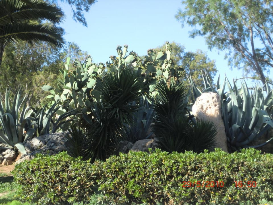 Garten Santa Marina Beach
