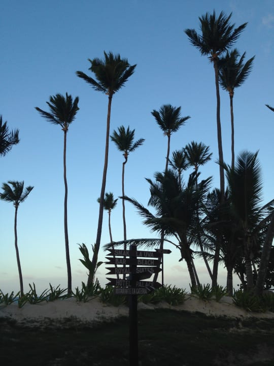 Gartenanlage Grand Palladium Punta Cana Resort & Spa