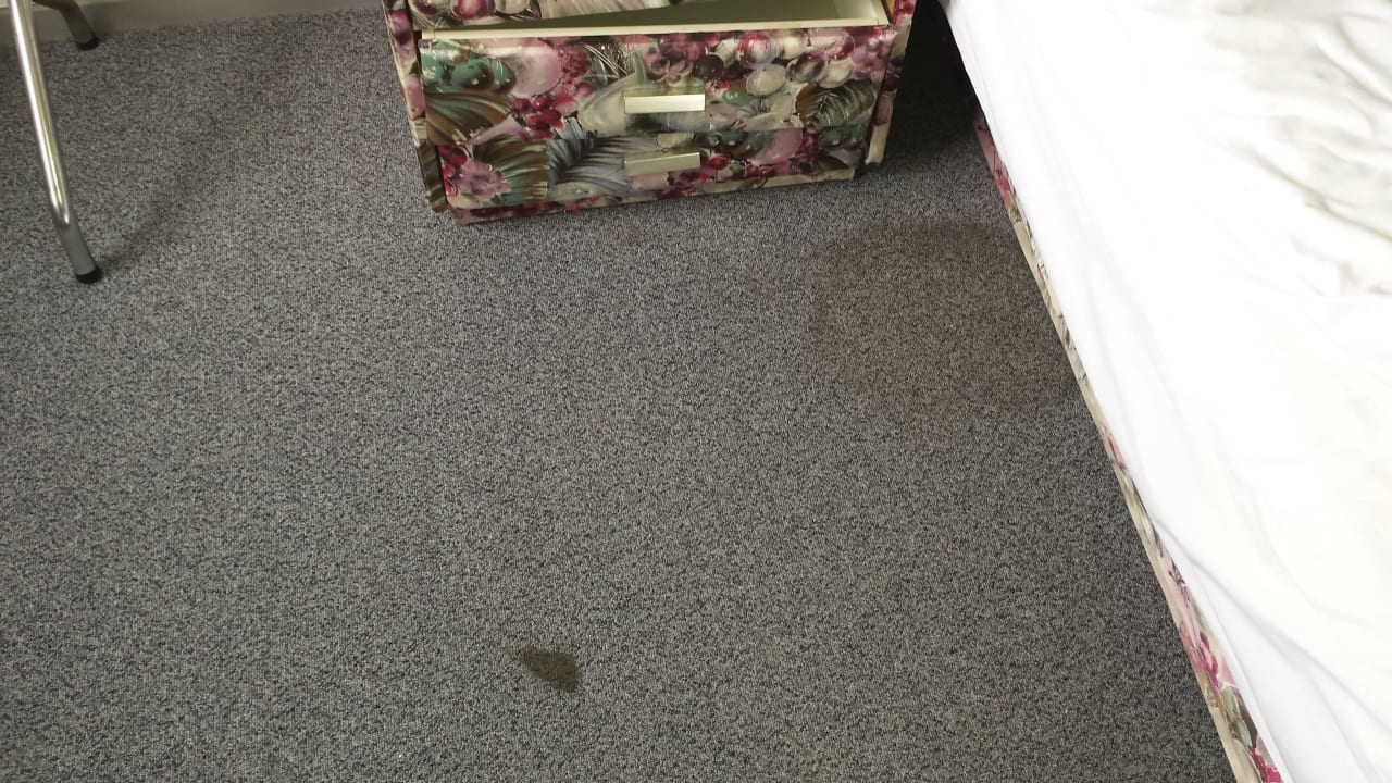 Der Teppichboden Fletcher Hotel-Restaurant Nieuwvliet Bad