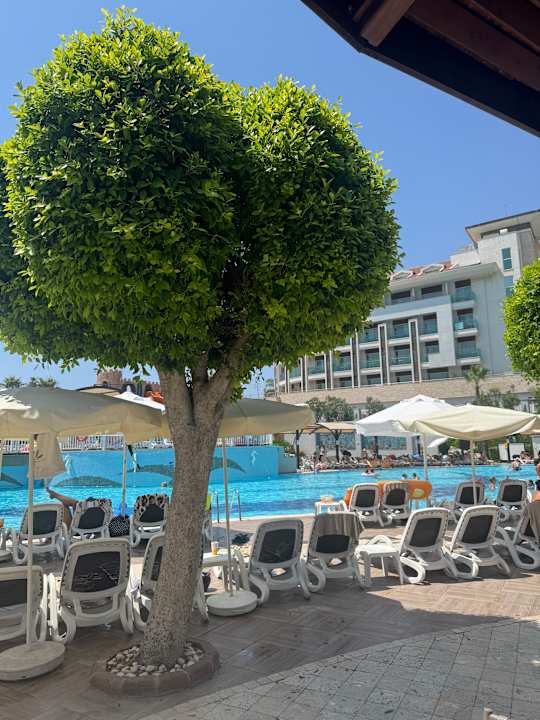 Pool Aydinbey Kings Palace & Spa