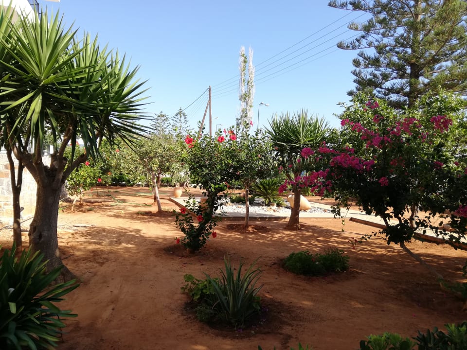 Gartenanlage Hotel Marlena