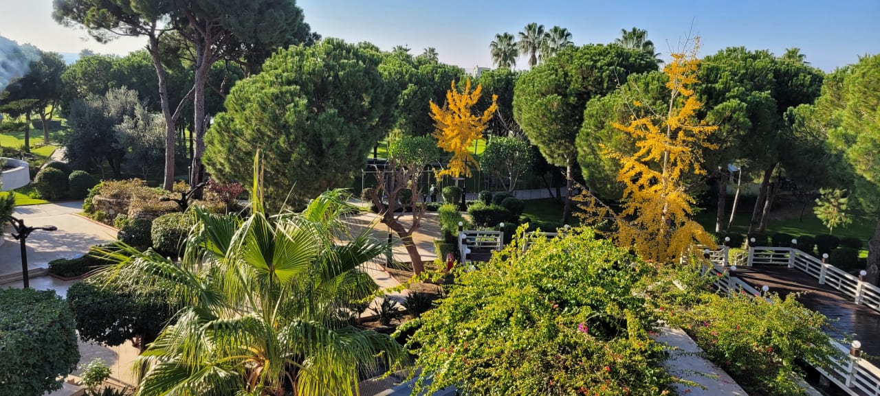 Gartenanlage Susesi Luxury Resort