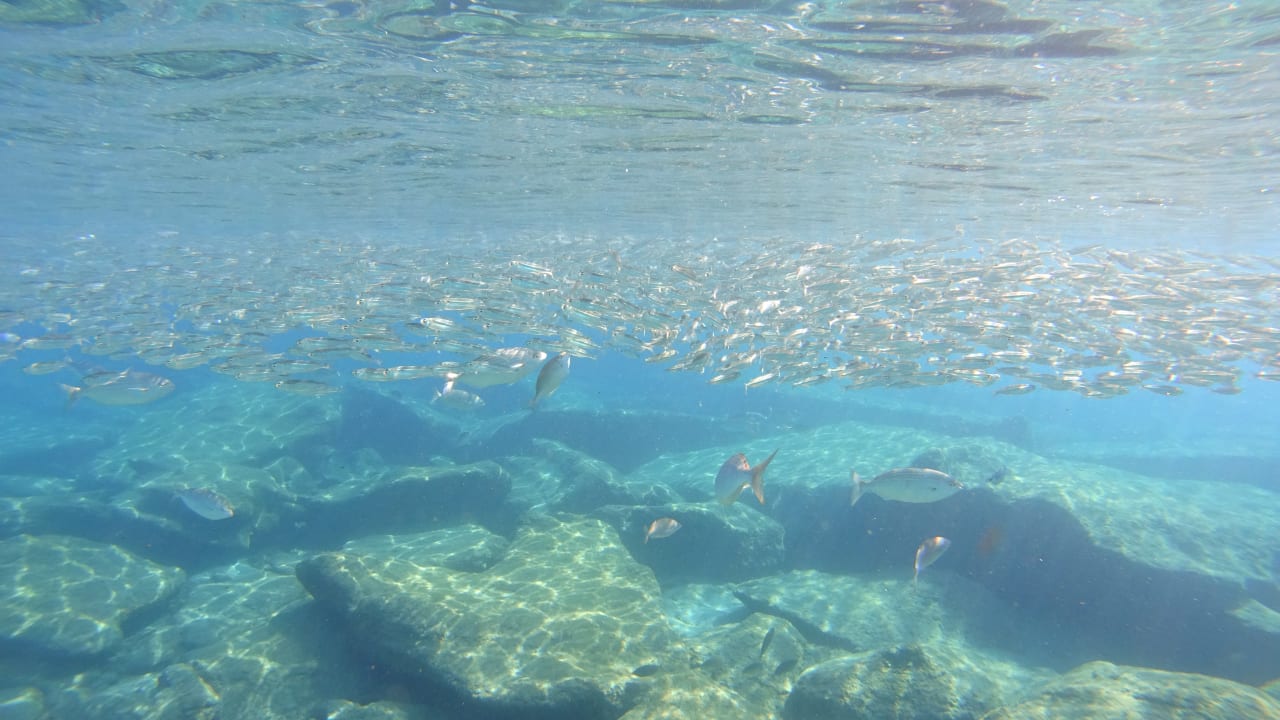 Strand Rodos Princess Beach Hotel & Spa