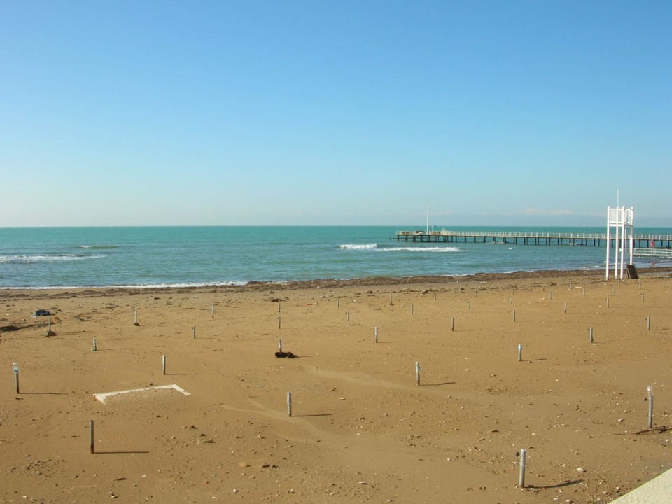 Strand Arum Barut Collection