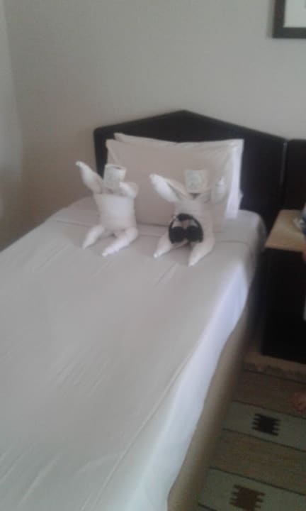 Zimmer Regina Resort and Aqua Park Hurghada