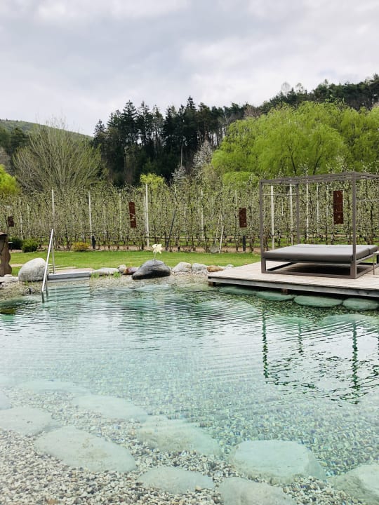 Gartenanlage Gartenhotel Moser