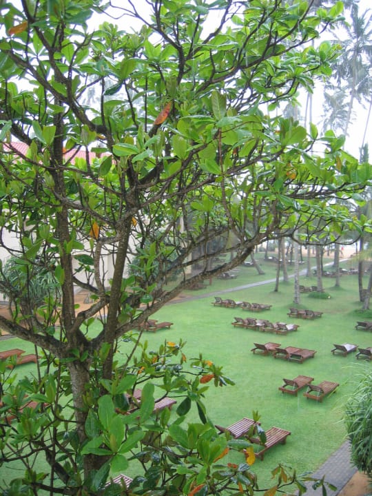 Schön Mermaid Hotel & Club