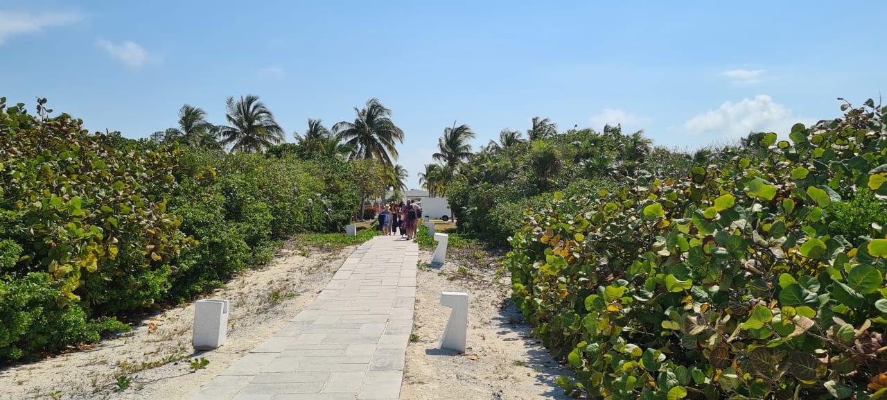 Gartenanlage Melia Las Dunas