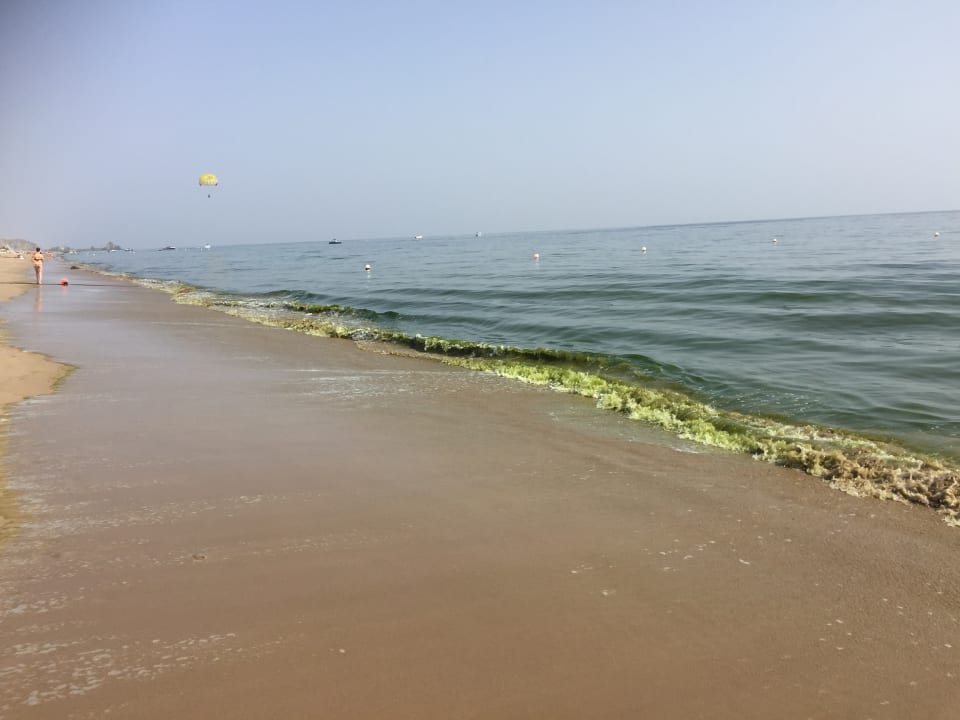 Strand Miramar Al Aqah Beach Resort