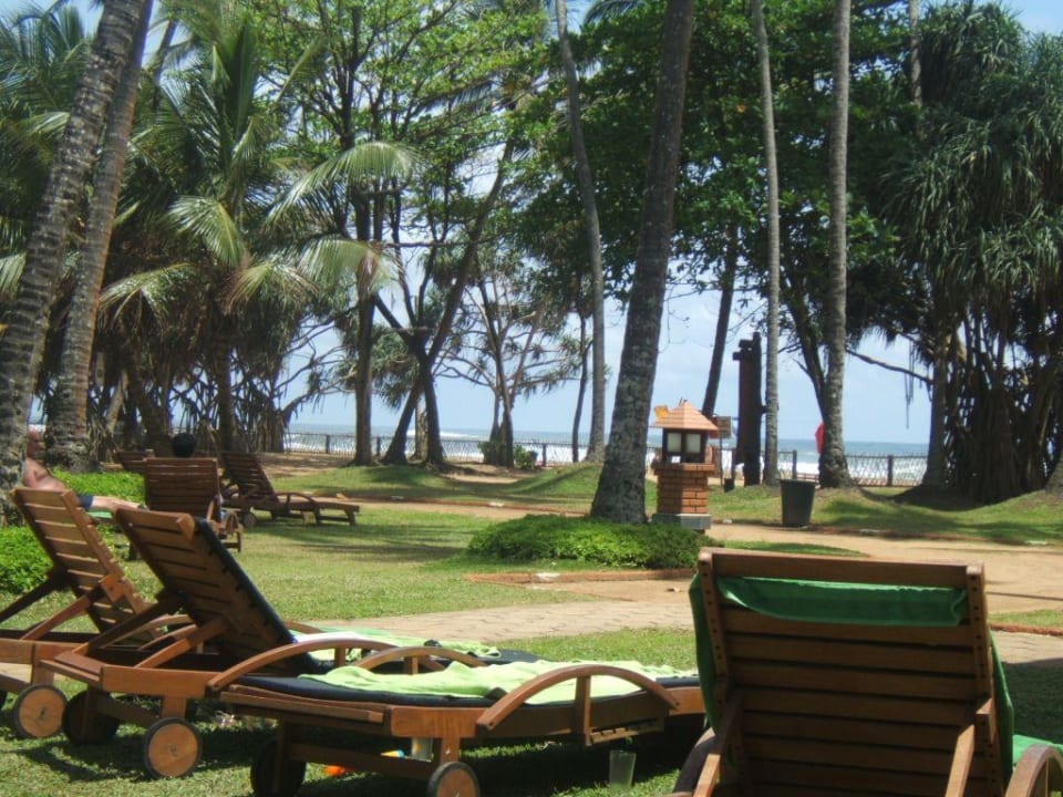 Hotel Royal Palms Beach Hotel