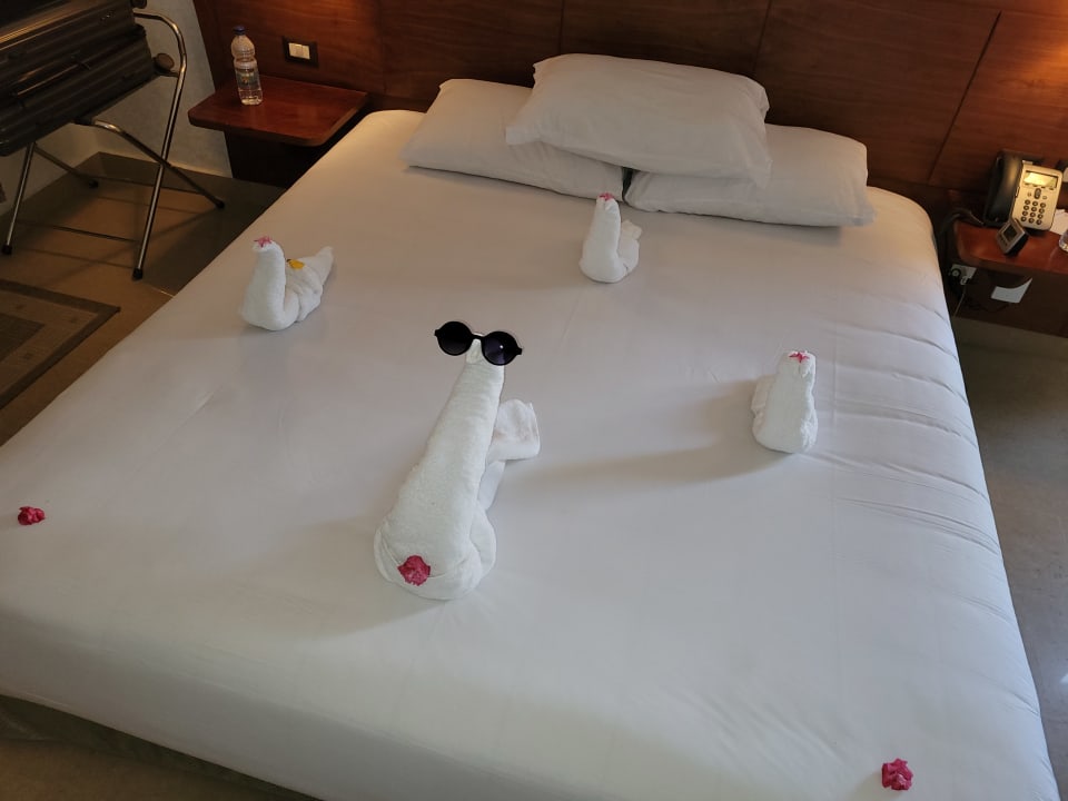 Zimmer Stella Garden Resort & Spa, Makadi Bay