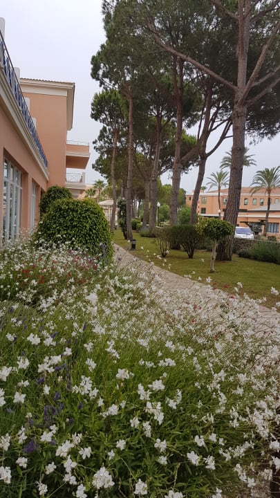 Gartenanlage Hipotels Barrosa Garden