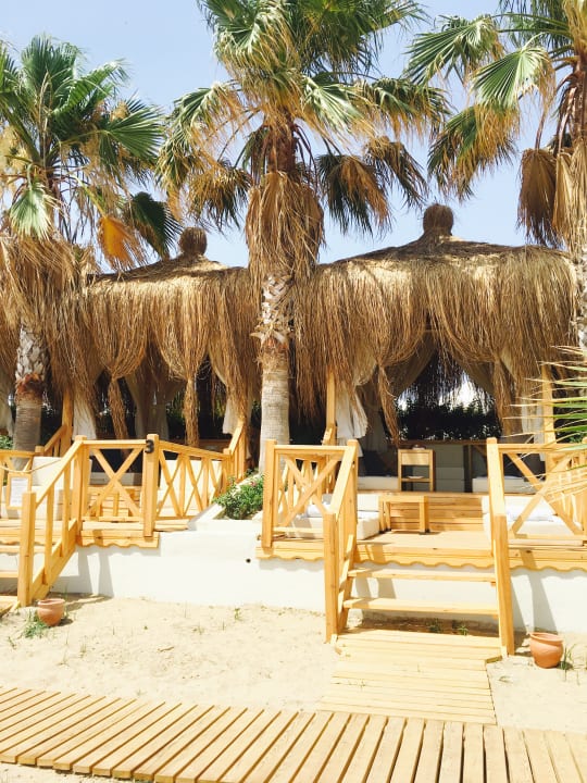 Strand Paloma Oceana