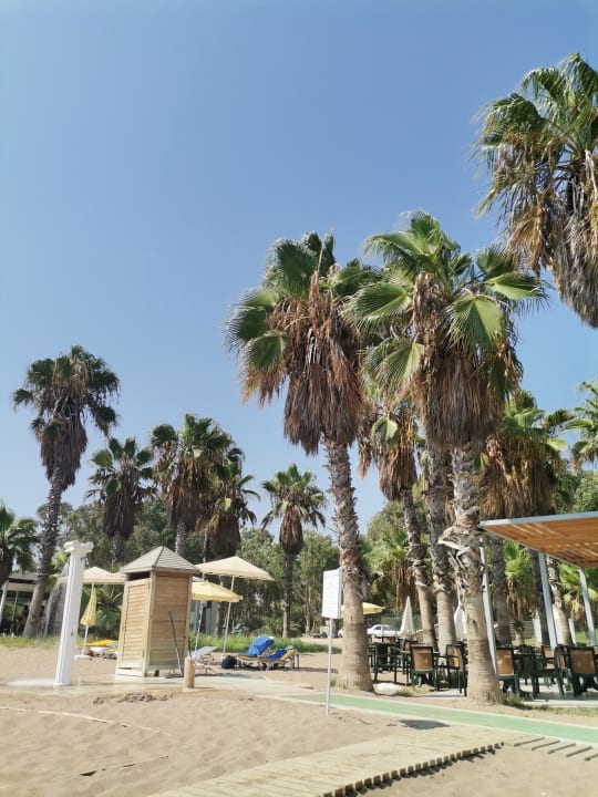 Strand Asteria Collection Side