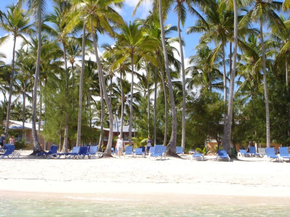 Barcelo Bavaro Casino Barcelo Bavaro Beach - Adults only