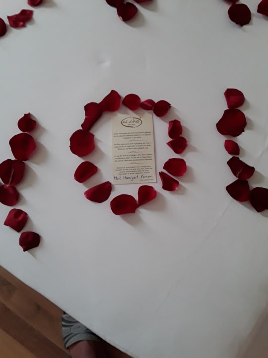 Zimmer Alaiye Resort & Spa