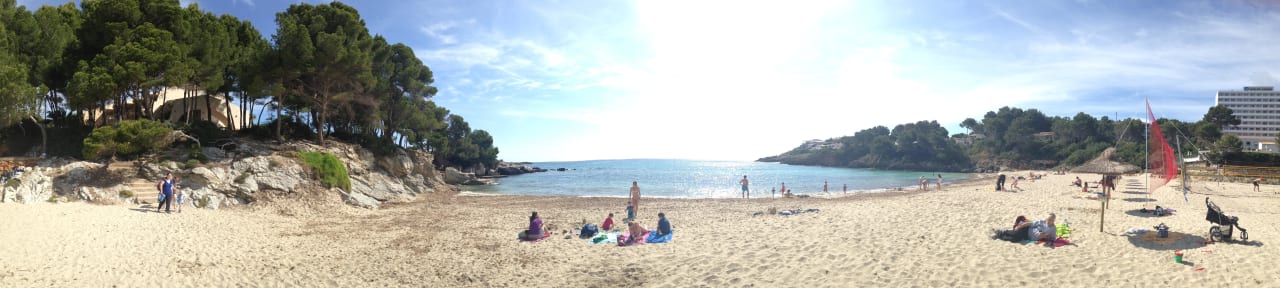 Schöner Sandstrand Iberostar Waves Pinos Park