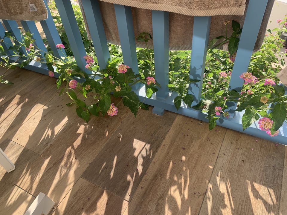 Zimmer Fodele Beach & Water Park Holiday Resort