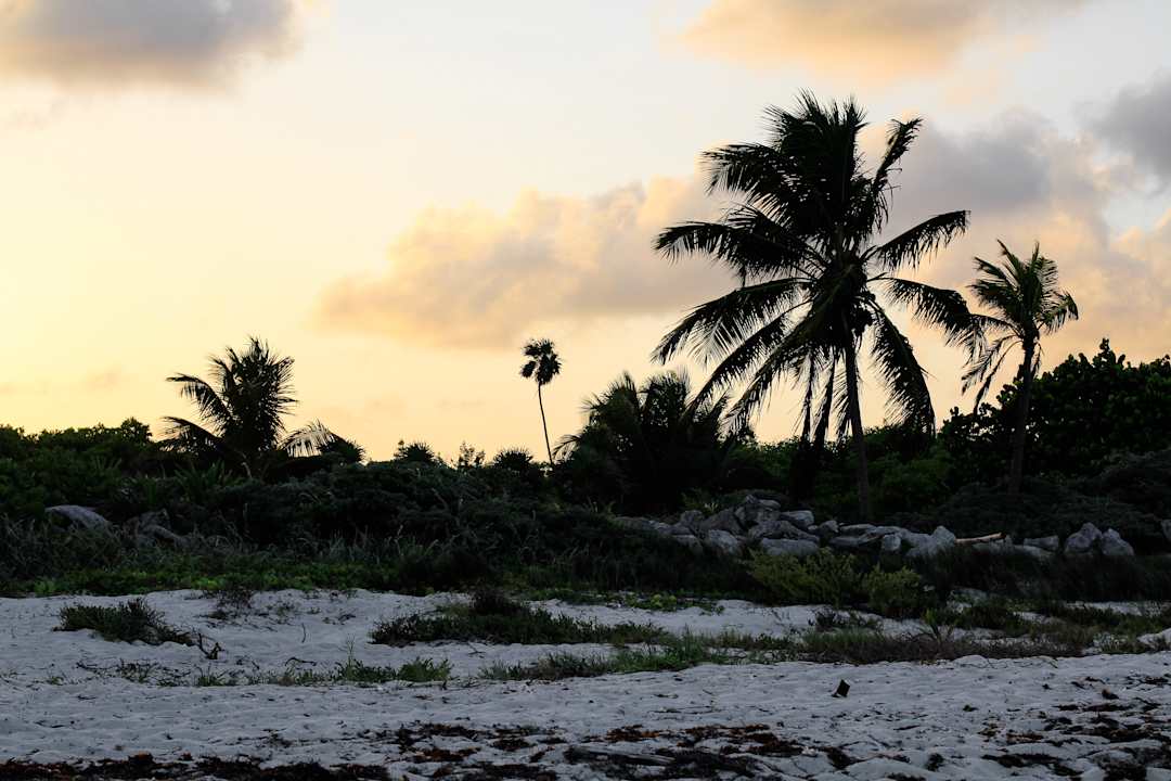 Etwa fünf Minuten östlich vom Hotel  JOIA Paraiso by Iberostar