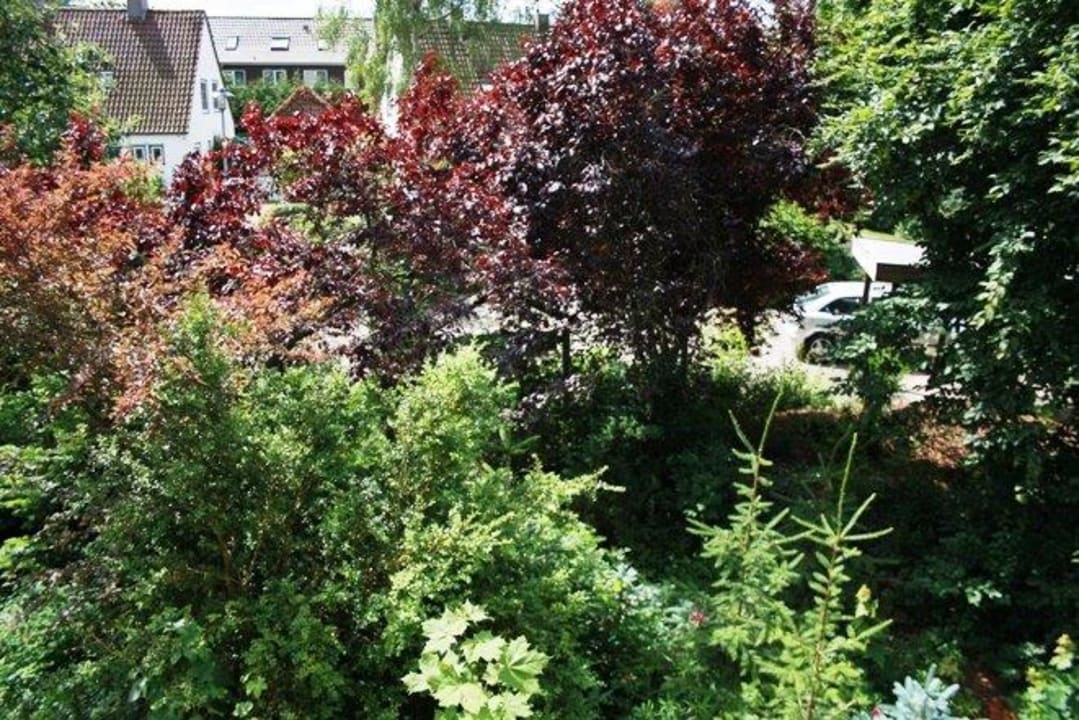 Wunderschöne Blick vom Balkon im Sommer! Pension Haus Heiderose