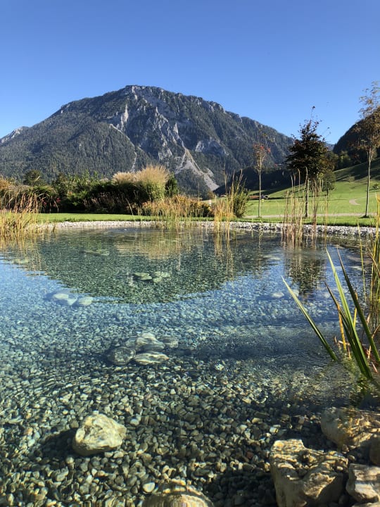 Pool Gasthaus Zeller Hof