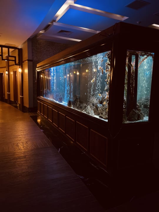 Sonstiges Hotel Delphin Imperial